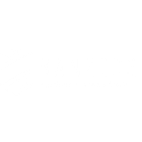 Logo for the Royal Australian & New Zealand College of Obstetricians and Gynaecologists